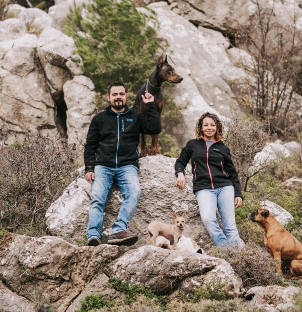 Ανακάλυψε τα Κορυφαία Γεγονότα για Σκύλους το 2026