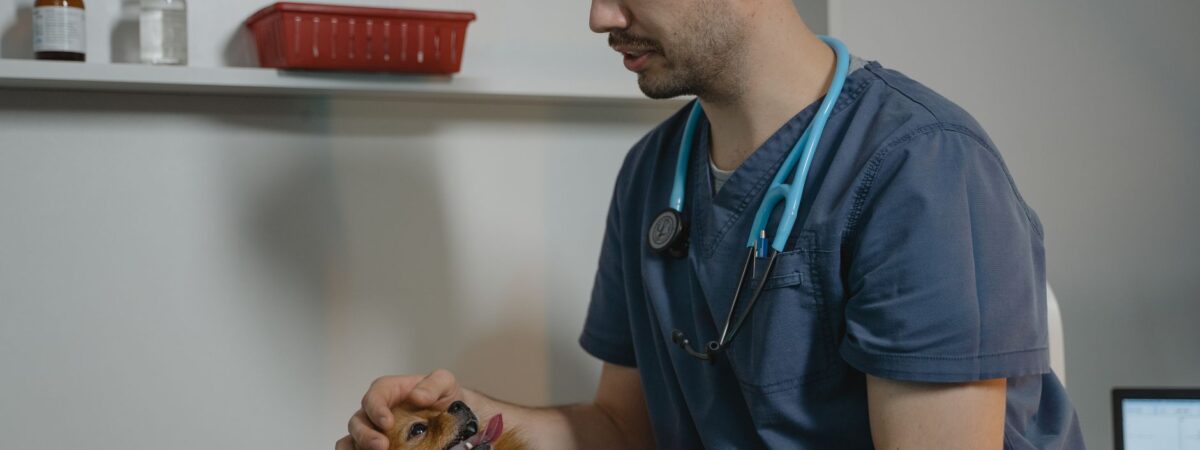 Πώς να Προλάβετε τα Συνήθη Προβλήματα Υγείας Σκύλων