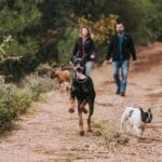 Canicross στην Ελλάδα: πώς να ξεκινήσεις σωστά
