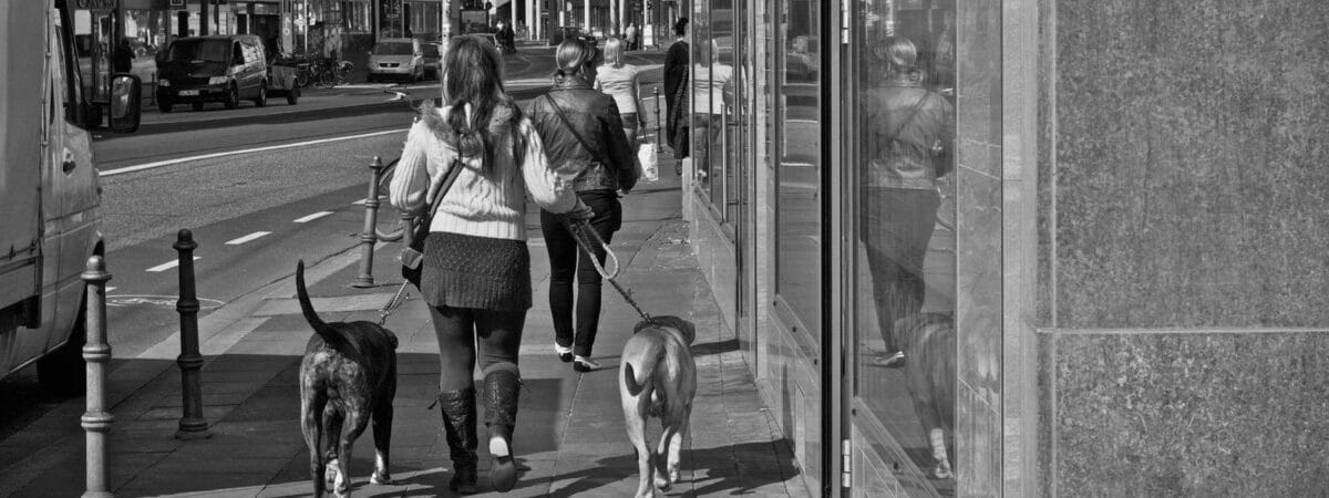 Dog friendly Αθήνα με σκύλο: βόλτες που αξίζουν