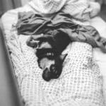 Pet friendly ξενοδοχεία στην Ελλάδα: τι να κοιτάξεις