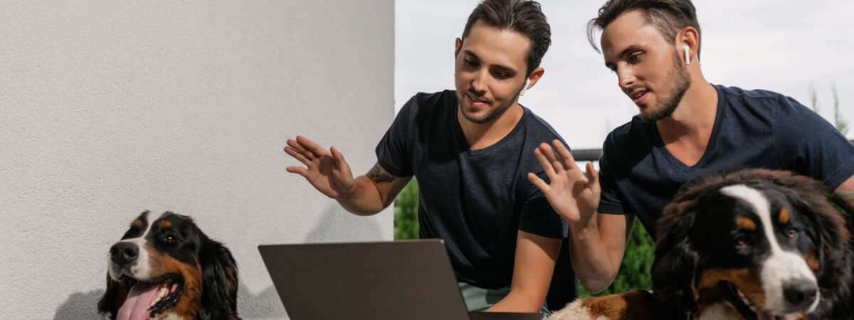 Πώληση σκύλων online: τι απαγορεύεται στην Ελλάδα