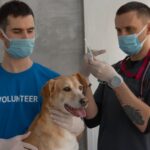 Νέο εμβόλιο λεϊσμανίασης: τι ισχύει για τον σκύλο σου