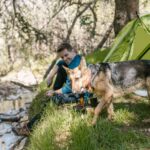 Σκύλος camping: τι να πάρεις και τι να προσέξεις