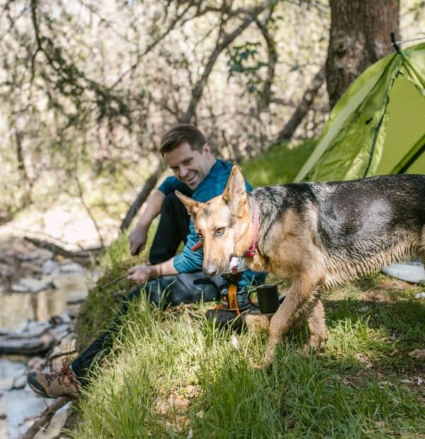 Σκύλος camping: τι να πάρεις και τι να προσέξεις